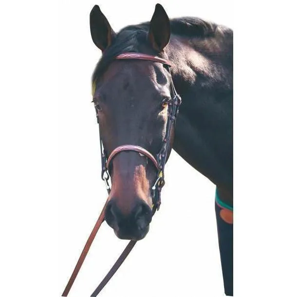 Henri de Rivel Fancy Raised Snaffle Bridle - Laced Reins