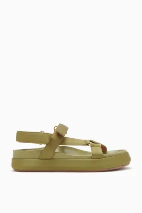 Olive Astra Sport Sandal